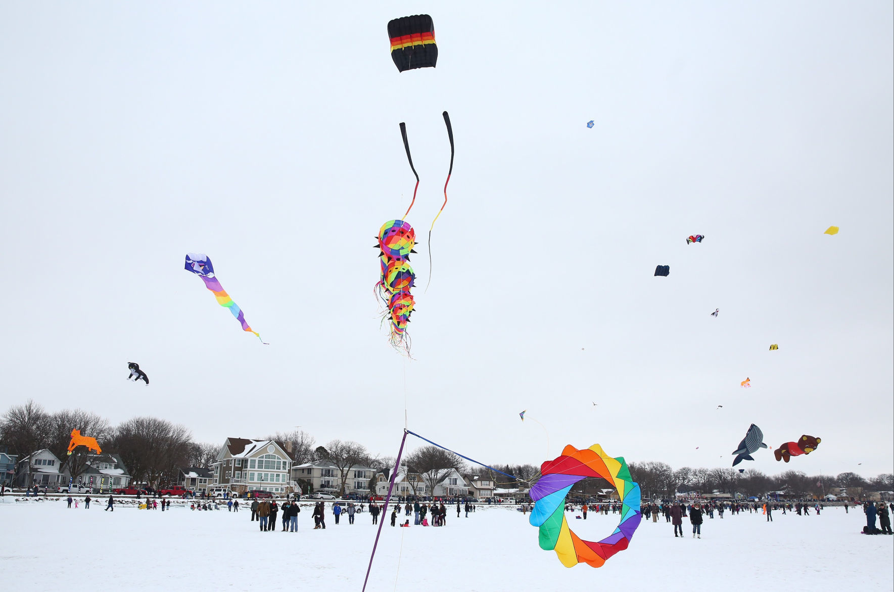 Color the Wind 10